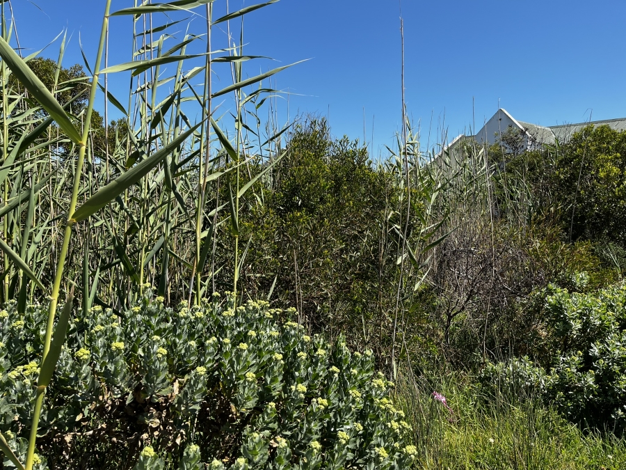 0 Bedroom Property for Sale in Bettys Bay Western Cape